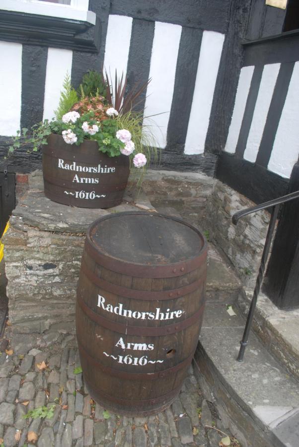 The Radnorshire Arms Hotel Presteigne Exterior photo